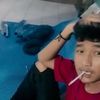 aciljr528