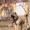 sahil.selab0
