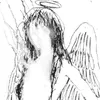 ddhll8