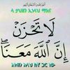 user8555755947427