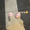 why06024
