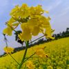 abdur_rahman6174