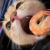 thnhhuynlu