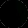 leslie_3330