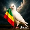 user980037081267