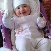 محمد انيس