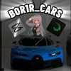 bot1r_cars0