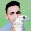 mussa.elhadydi