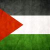 malak.shokr3