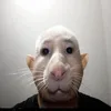mmwqii4