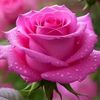user3702021561134