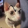 itzzaiden_yt