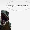 ollieorrex