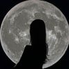paria.alipoor5