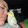 Mamãe da Olívia