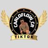 carloflow_rc