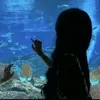 jessie_1068