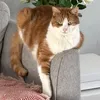 carolelinsay29