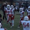 lyndan54