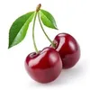 hi.i.am.cherry