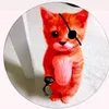 .chesteroffc