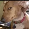 snaciftwtnx