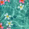 nicole_i.love.mus