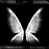 maede_2010