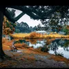 ensan19801