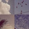 akim.5012