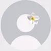 kay_knn