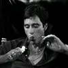 tony.snzin