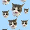 almeera_566