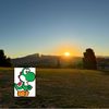 nintendo._yoshi