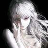 liliy_qe