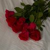 prenss703