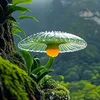 kiunguyn5963