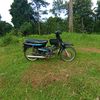 wong_sumbersari