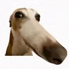 deptrai311