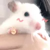 tmy_mochi215