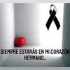 misaelgardel278