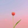 threelia03
