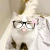 pu_k13