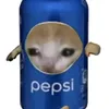 sibiditolet5021