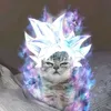 chrisshpgbt