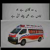 eman.rajpot464