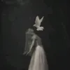ro_r701