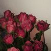 syedaushba__