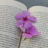 account_not_found537