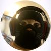 salz668l